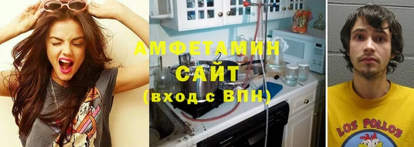 мдпв Бородино